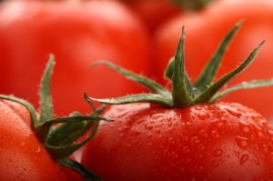 bigstock-perfect-fresh-red-wet-tomatoes-18667985