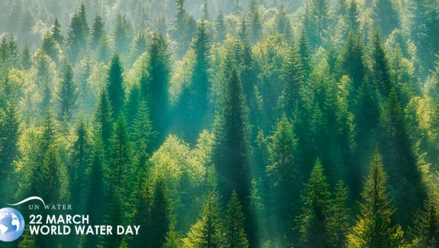 World Water Day 2018: Nature-based solutions